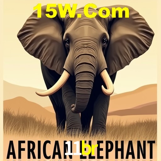 Bônus de Boas-vindas 11br