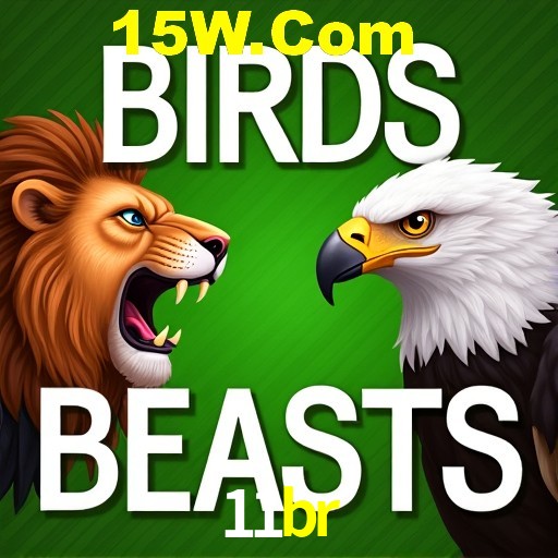 11br Curitiba - Live Status