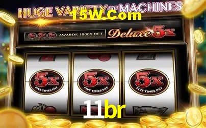 11br Rio de Janeiro - Licenses